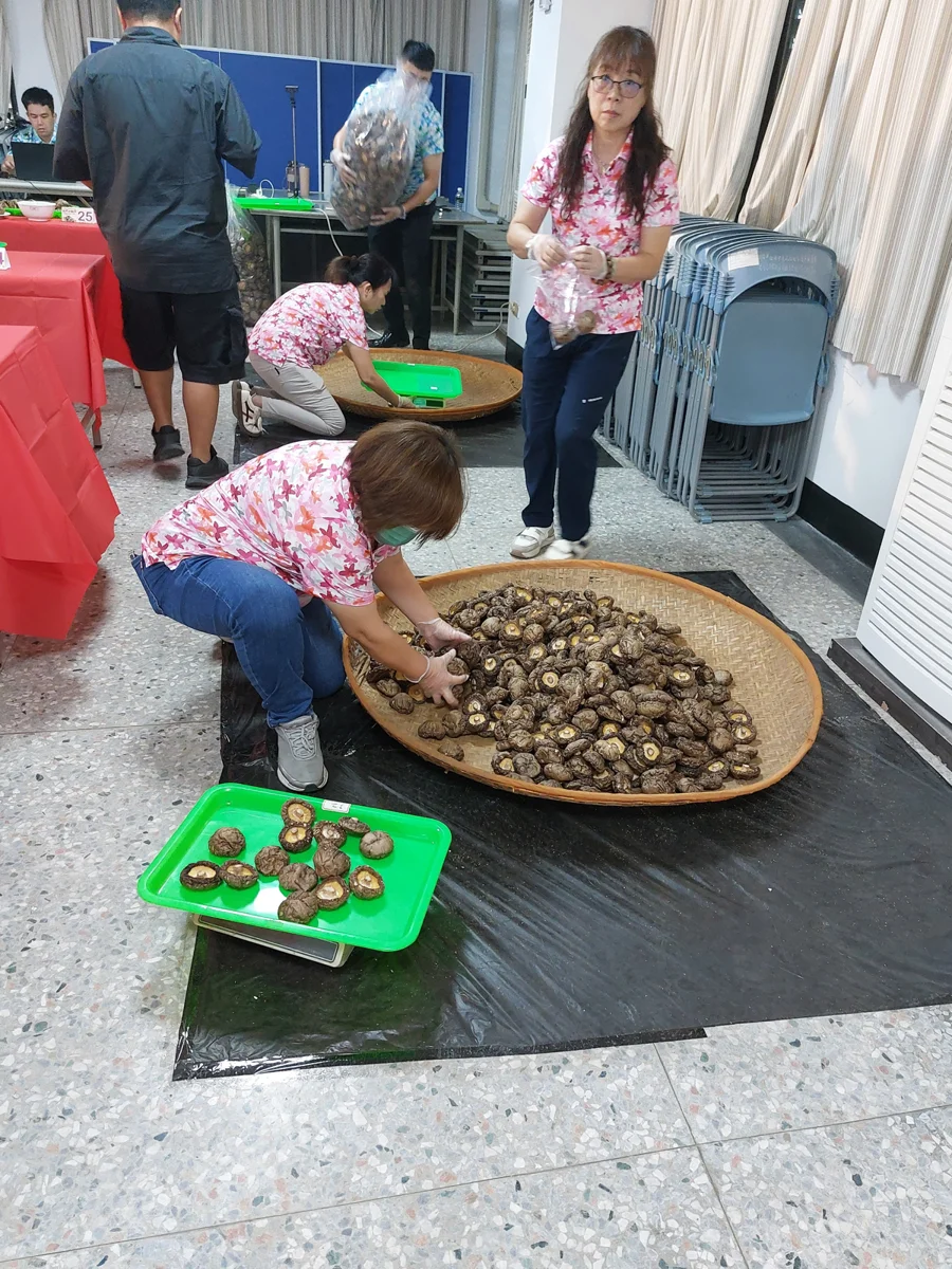 圖片來源：臺中市政府