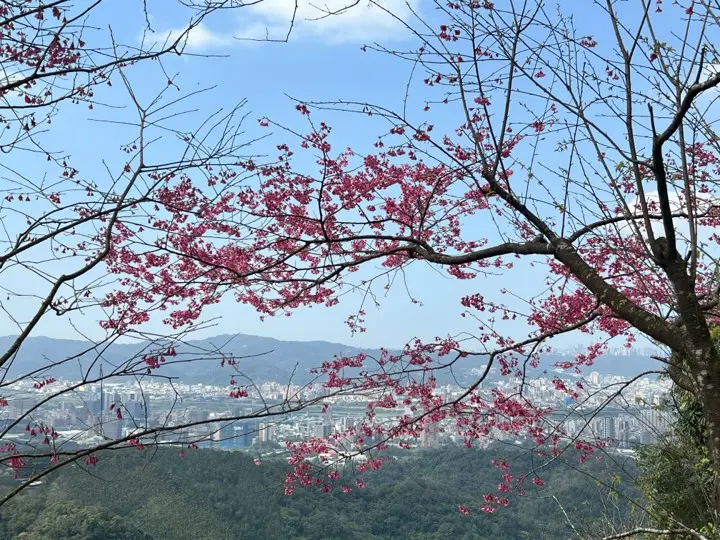 圖片來源:新北市政府