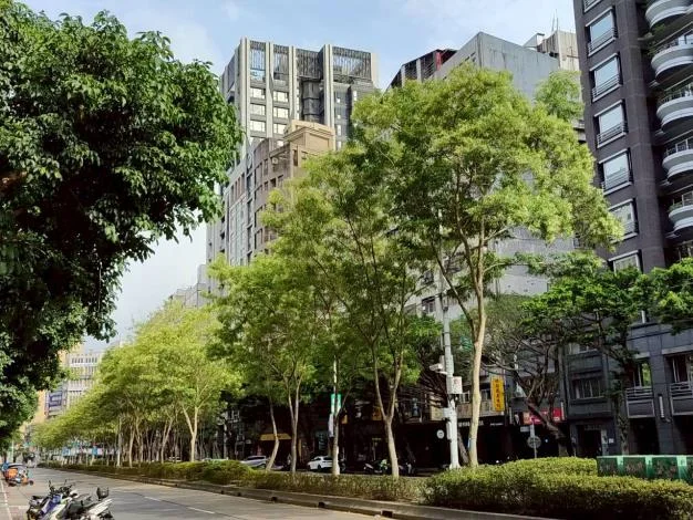 獨角仙最愛!台北光蠟樹結實如雪 4大賞樹路段一次看