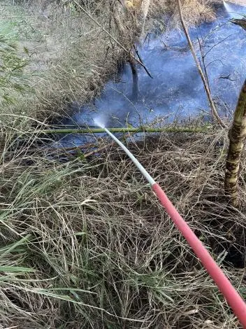 通霄竹林大火險燒民宅!消防局警告:露天焚燒最高可罰500萬