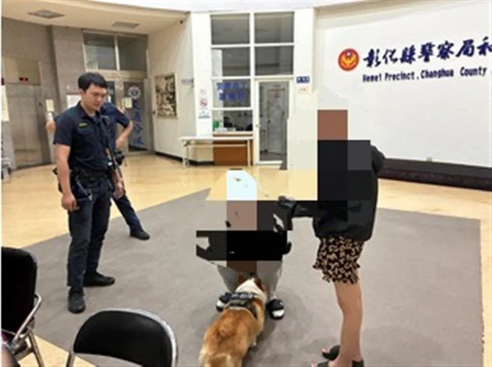 柯基犬深夜「搭便車」走失！和美警民熱心接力 靠社群神救援助返家