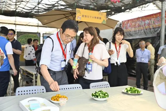 苑裡「稻田畫」驚艷日本訪團！苗栗打造台日友好彩繪田 縣長邀你來打卡