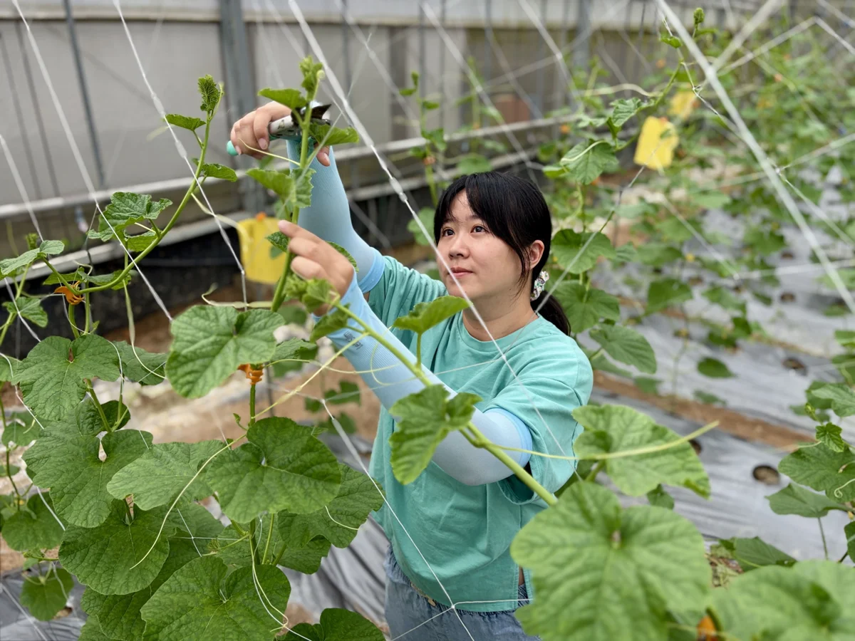 圖片來源:新竹縣政府