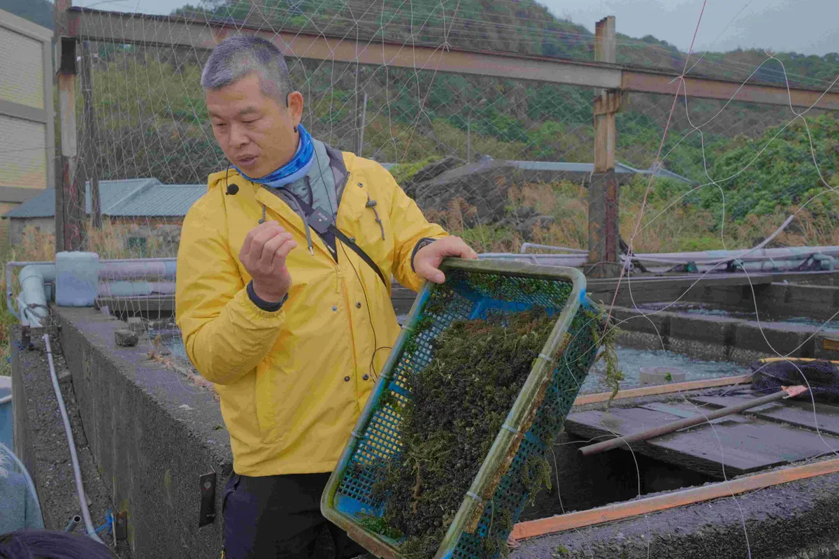 新北食農教育2.0!10大親子必訪農場名單大公開,週末就出發!