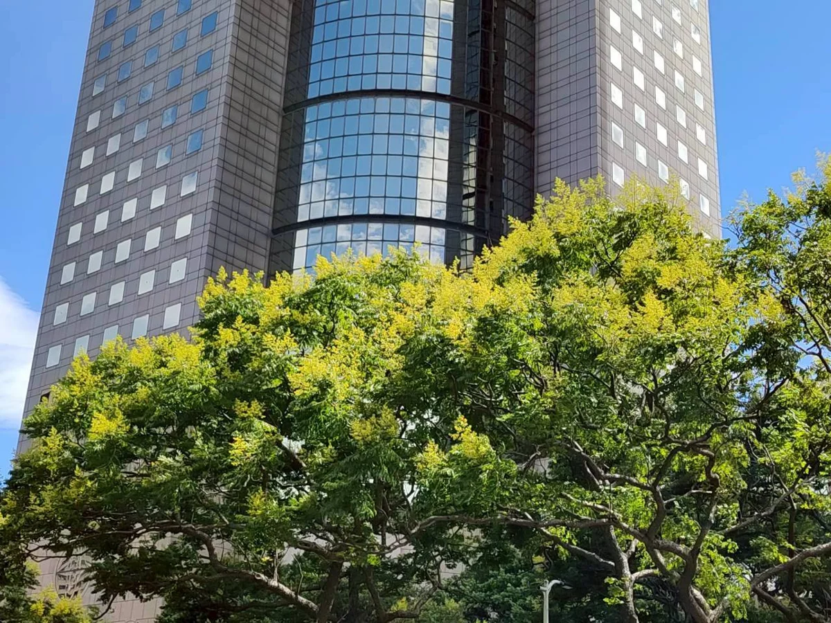 圖片來源:臺北市政府