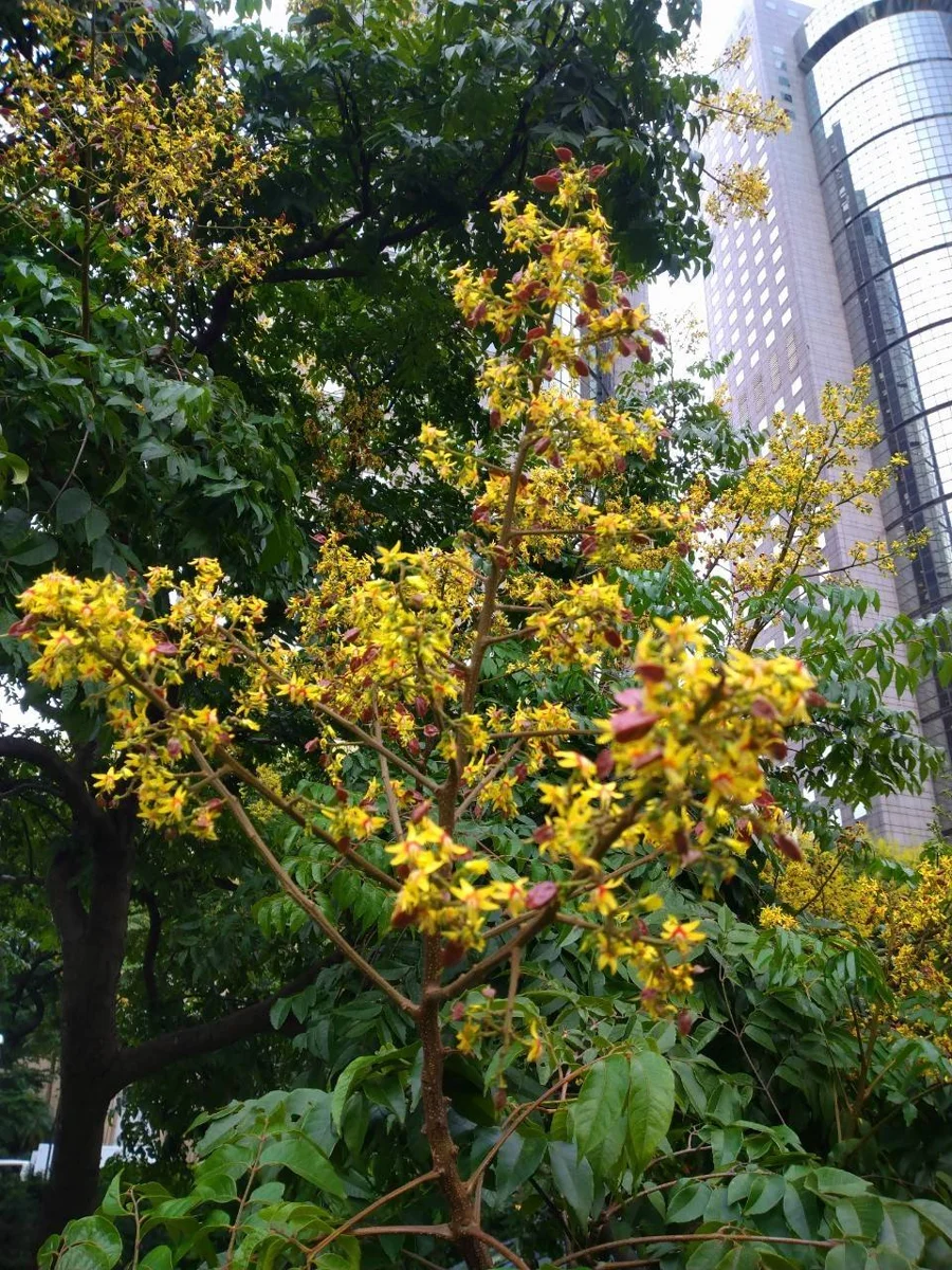 圖片來源:臺北市政府