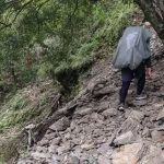 圖片來源:南投旅遊網-活動