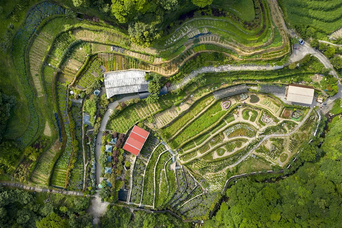 圖片來源：臺北市政府