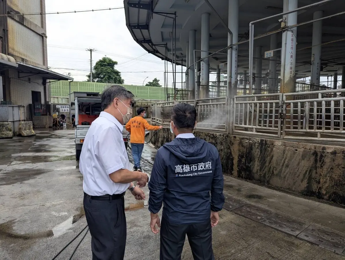 台中爆非洲豬瘟!高雄市府總動員 陳其邁:全面稽查、守護市民餐桌安全