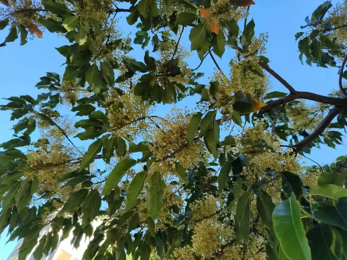 圖片來源:臺北市政府