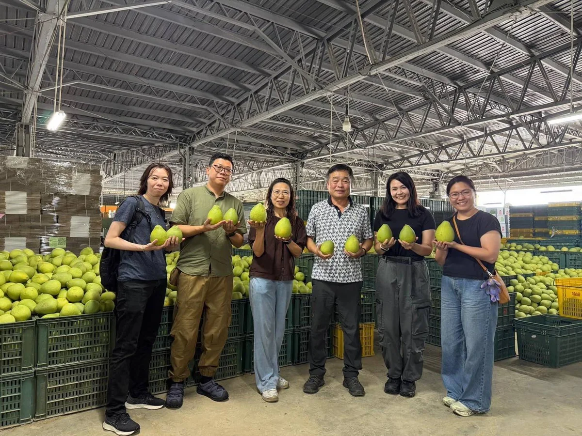 圖片來源:臺南市政府