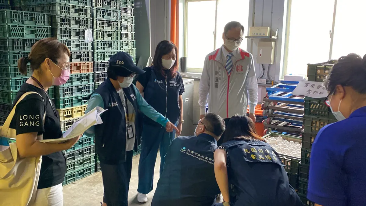 桃園市府加強雞蛋查核,學校午餐也在重視之列