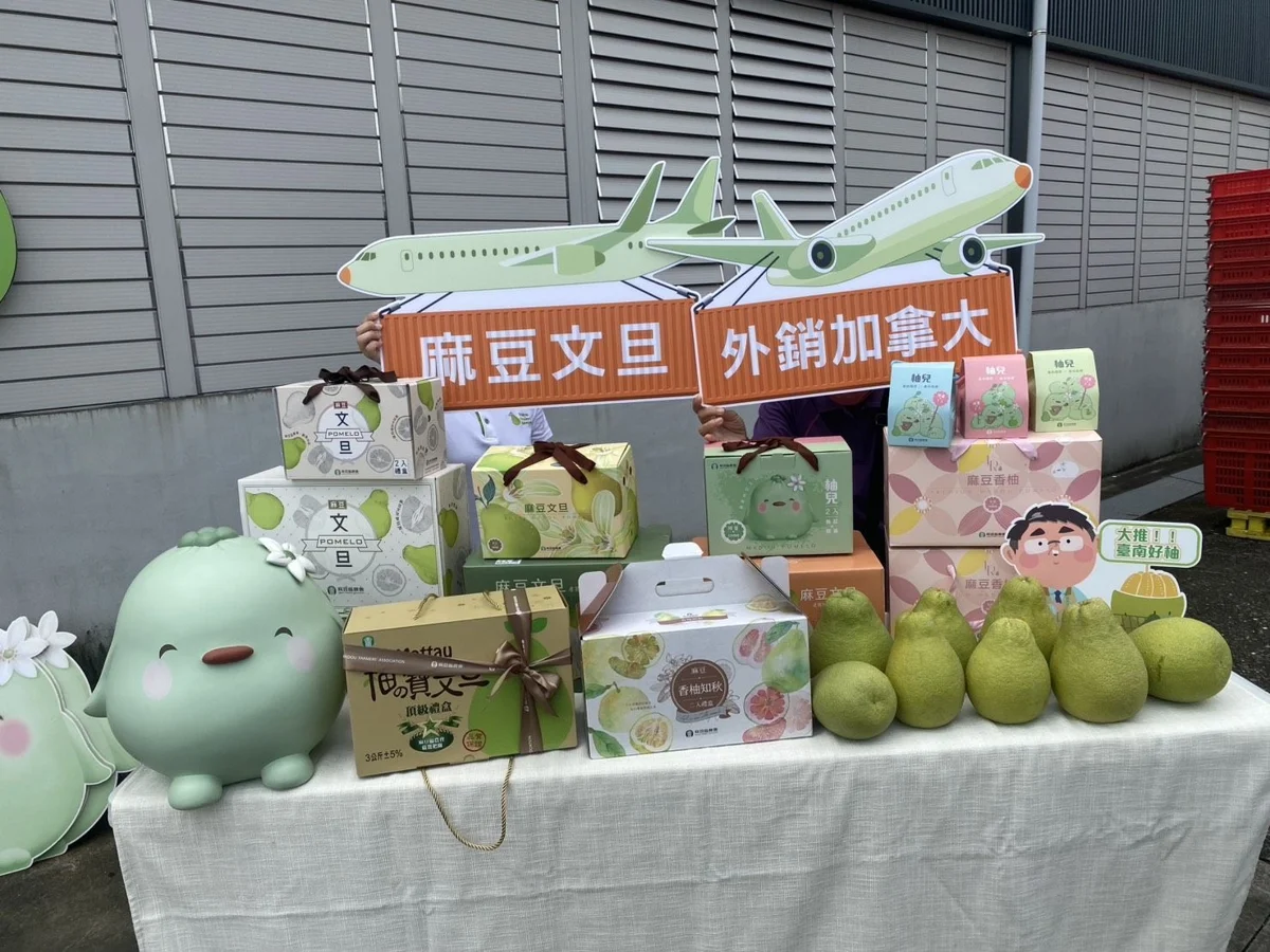 圖片來源：臺南市政府