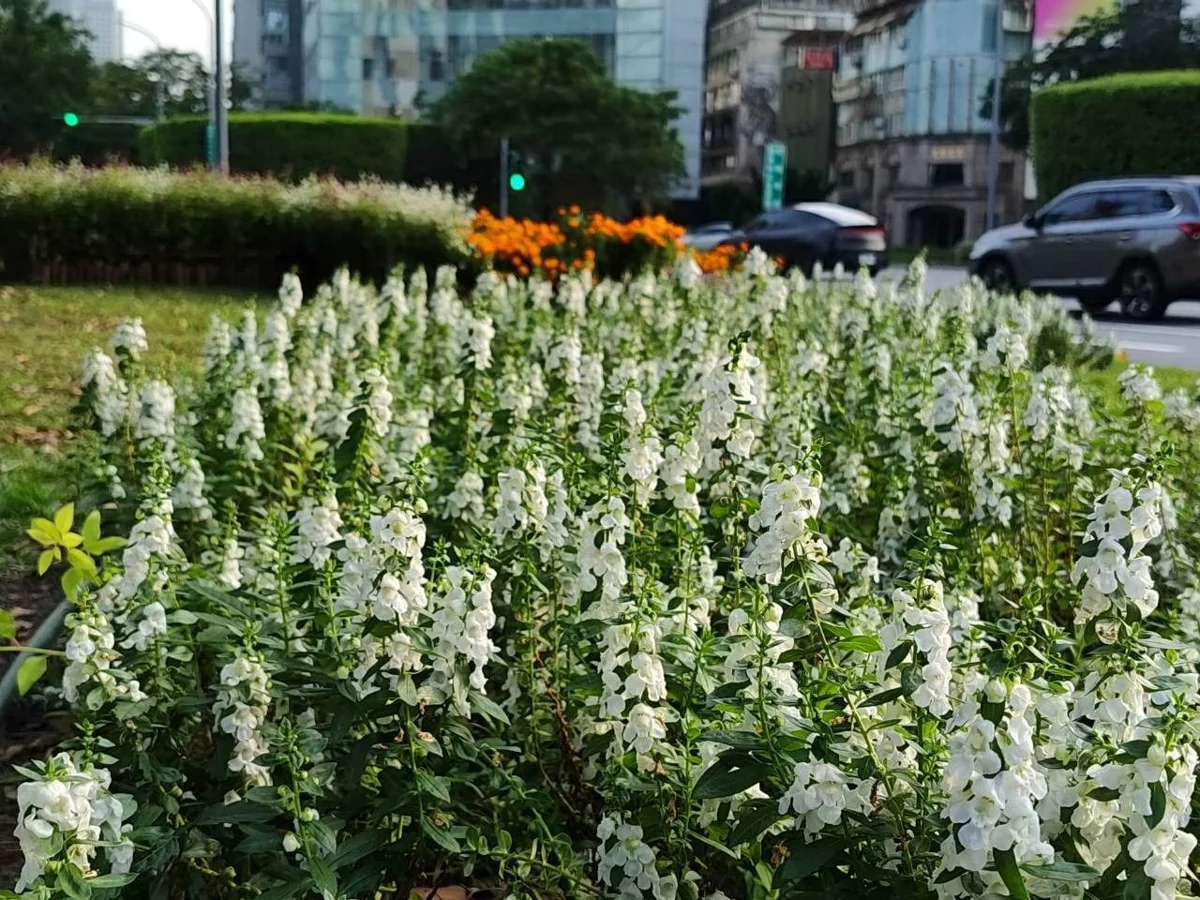 圖片來源:臺北市政府