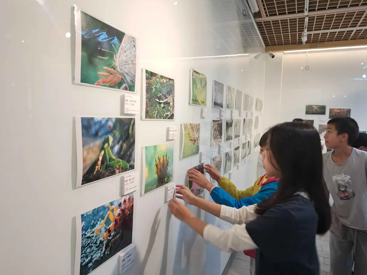 北投國小生畢展玩真的!《藝言難盡》自己策展、自己當主角