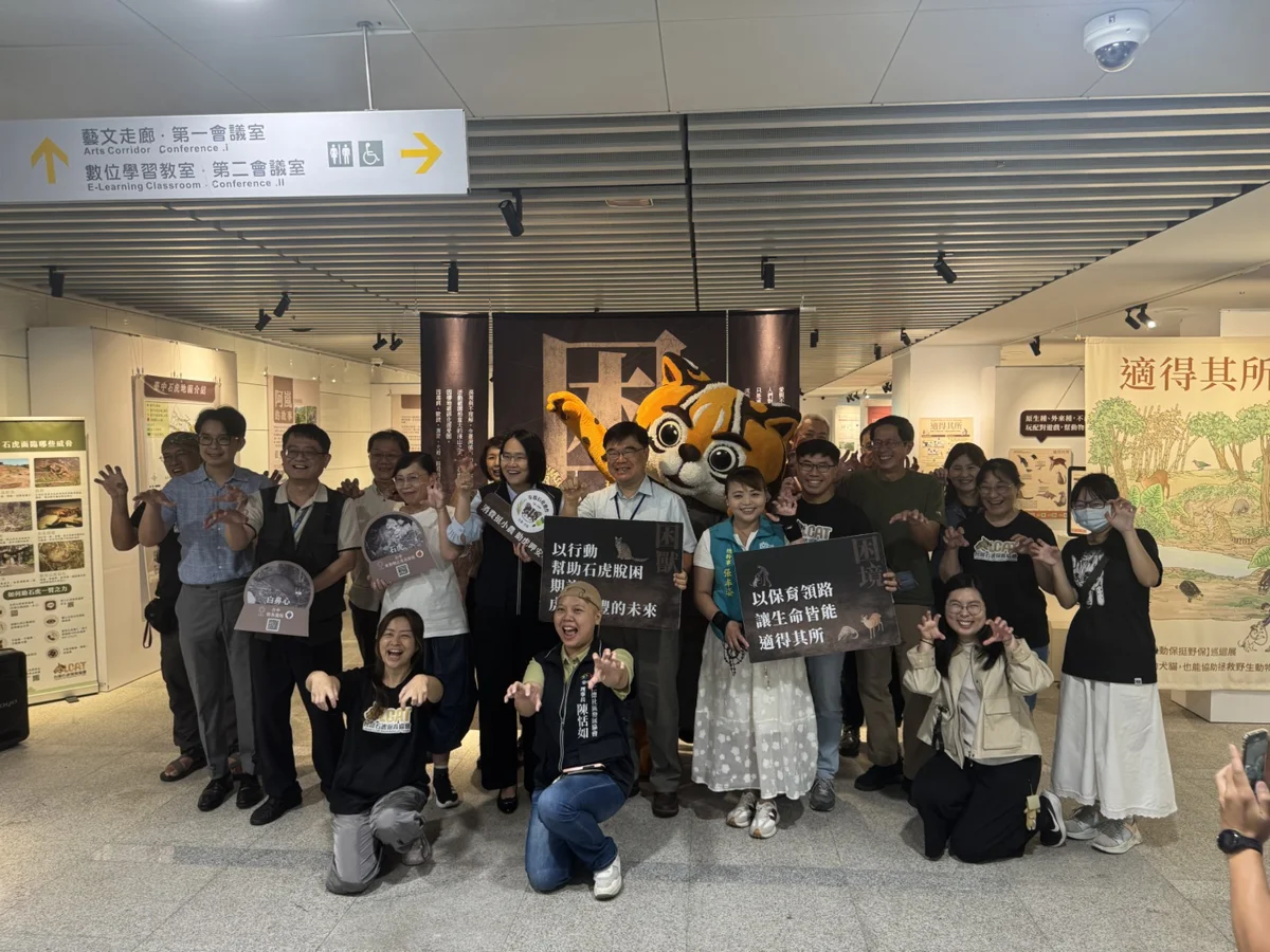 台中「石虎保育雙聯展」登場!揭開生存困境,守護台灣唯一原生貓科動物