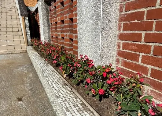 圖片來源:新竹市政府