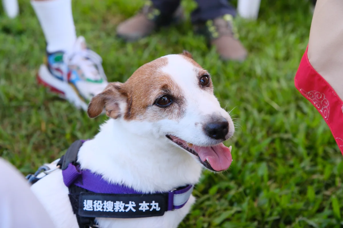 圖片來源:臺中市政府