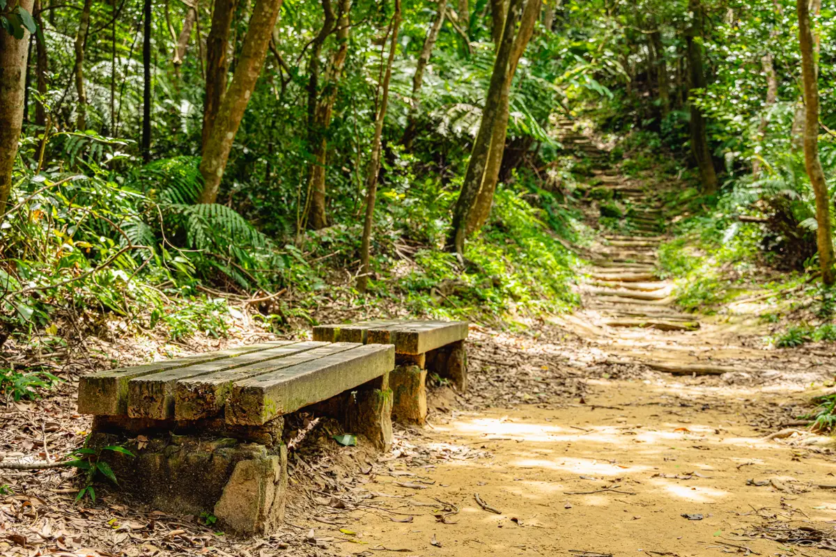 圖片來源:新北市政府