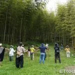 圖片來源：南投旅遊網-活動
