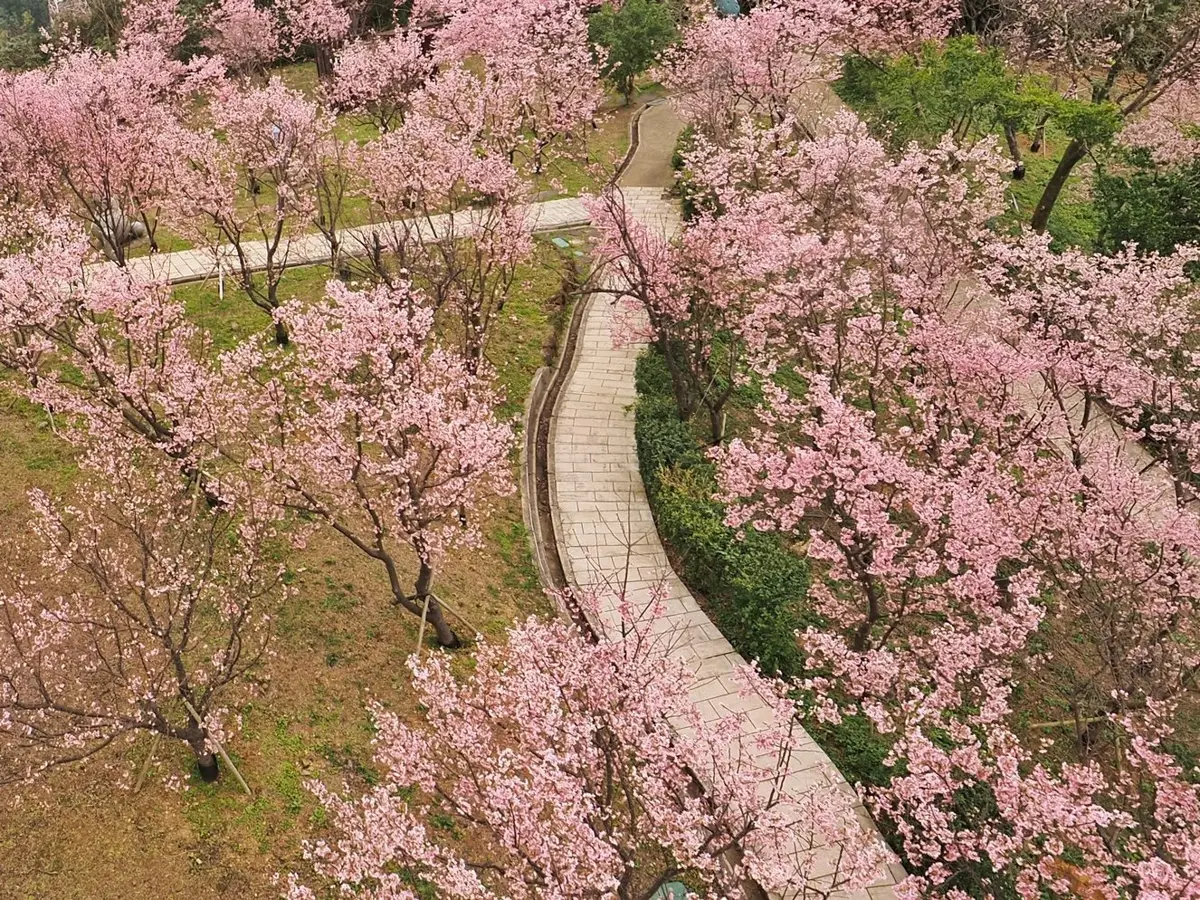 圖片來源:臺北市政府