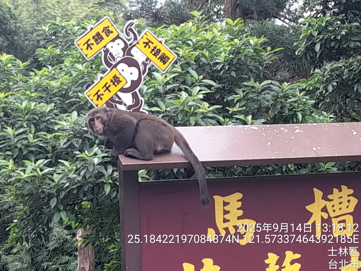 圖片來源：臺北市政府