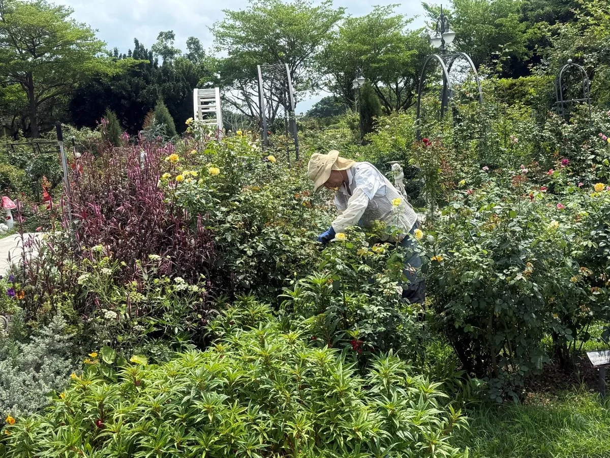 圖片來源：臺北市政府