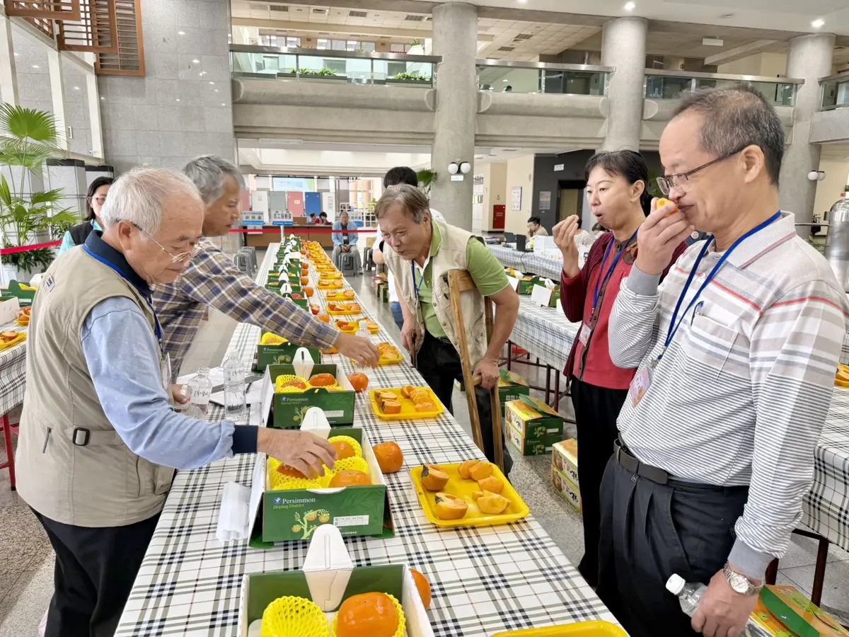 圖片來源:臺中市政府