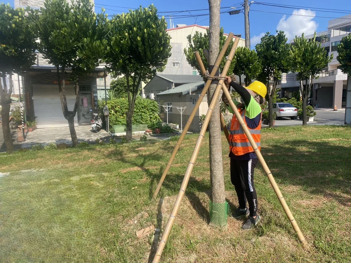 巴威颱風逼近高雄!工務局急籲:路樹下車輛快移開 防災準備全面啟動