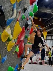 圖片來源：臺中市政府