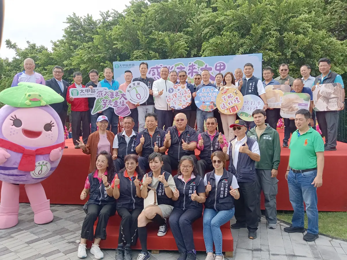 大甲芋頭節登場!車站廣場湧人潮 體驗採芋、逛古蹟玩翻天