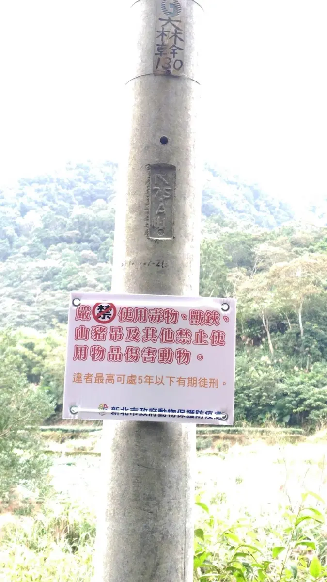 圖片來源:新北市政府