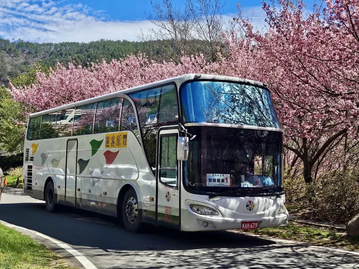圖片來源:臺中市政府