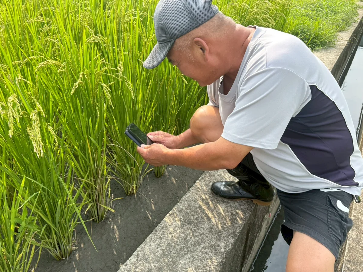 圖片來源：臺中市政府