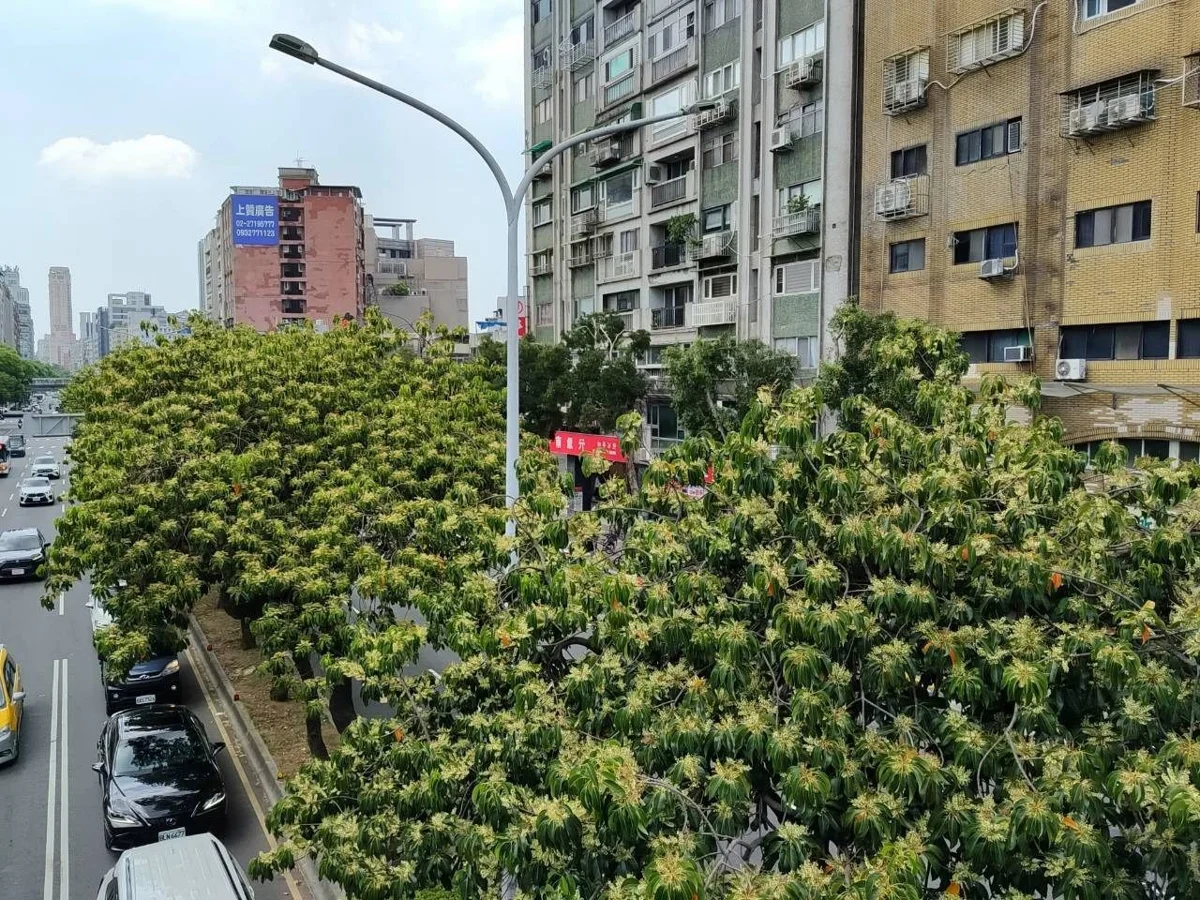圖片來源:臺北市政府