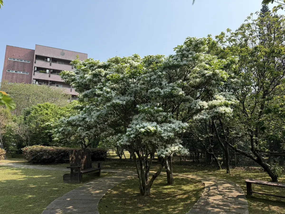 圖片來源:臺北市政府