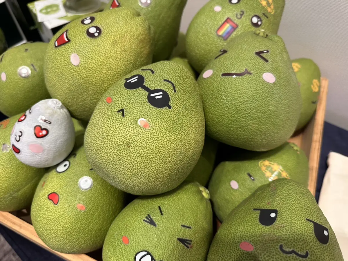 圖片來源:新北市政府