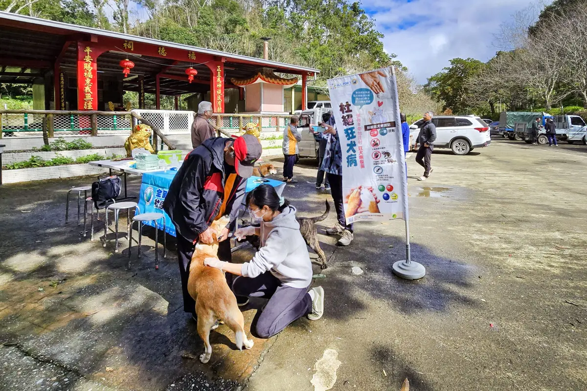 毛爸媽當心!花蓮狂犬病巡迴注射開跑,未打疫苗最高罰15萬