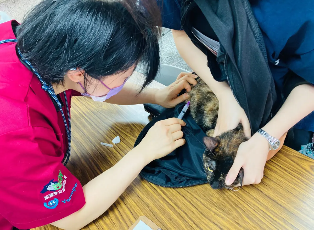 臺北市免費狂犬病疫苗巡迴活動啟動