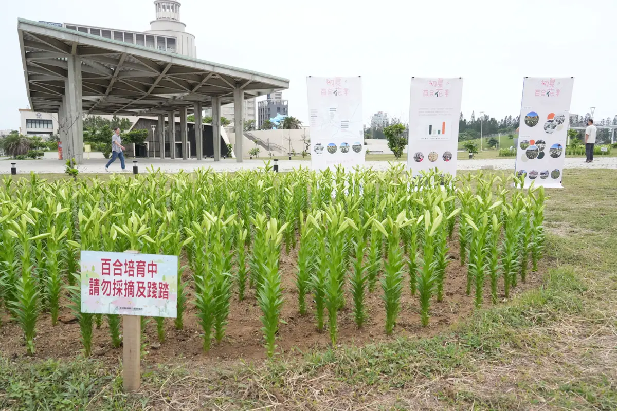 圖片來源:澎湖縣政府