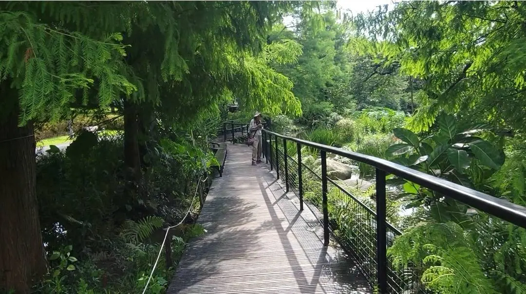 圖片來源:臺北市政府