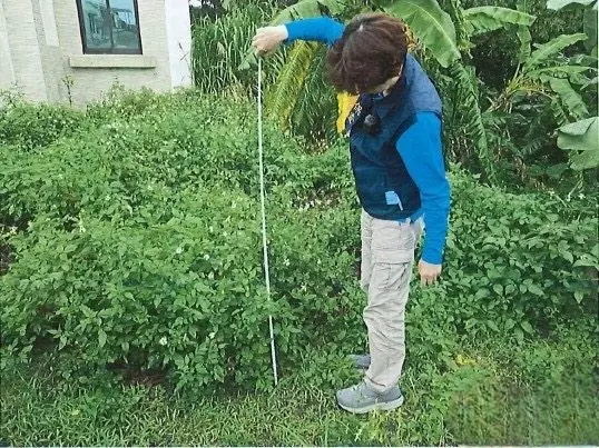 圖片來源:花蓮縣政府