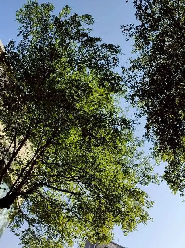 圖片來源:臺北市政府