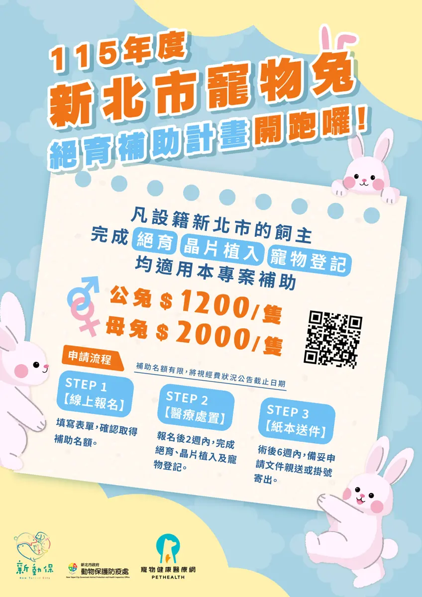 新北兔奴必看!2026寵物兔絕育補助開跑,最高爽領2000元