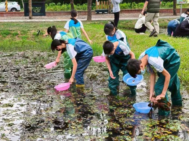 臺南食農教育玩真的!菱角殼變除臭包、廢漁池成教室,3大特優教案大公開
