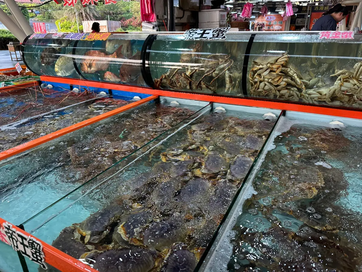 圖片來源:新北市政府