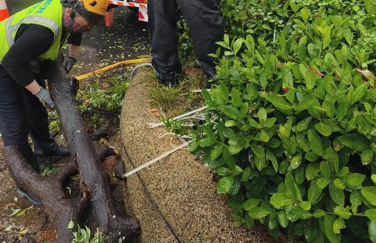 圖片來源:臺北市政府