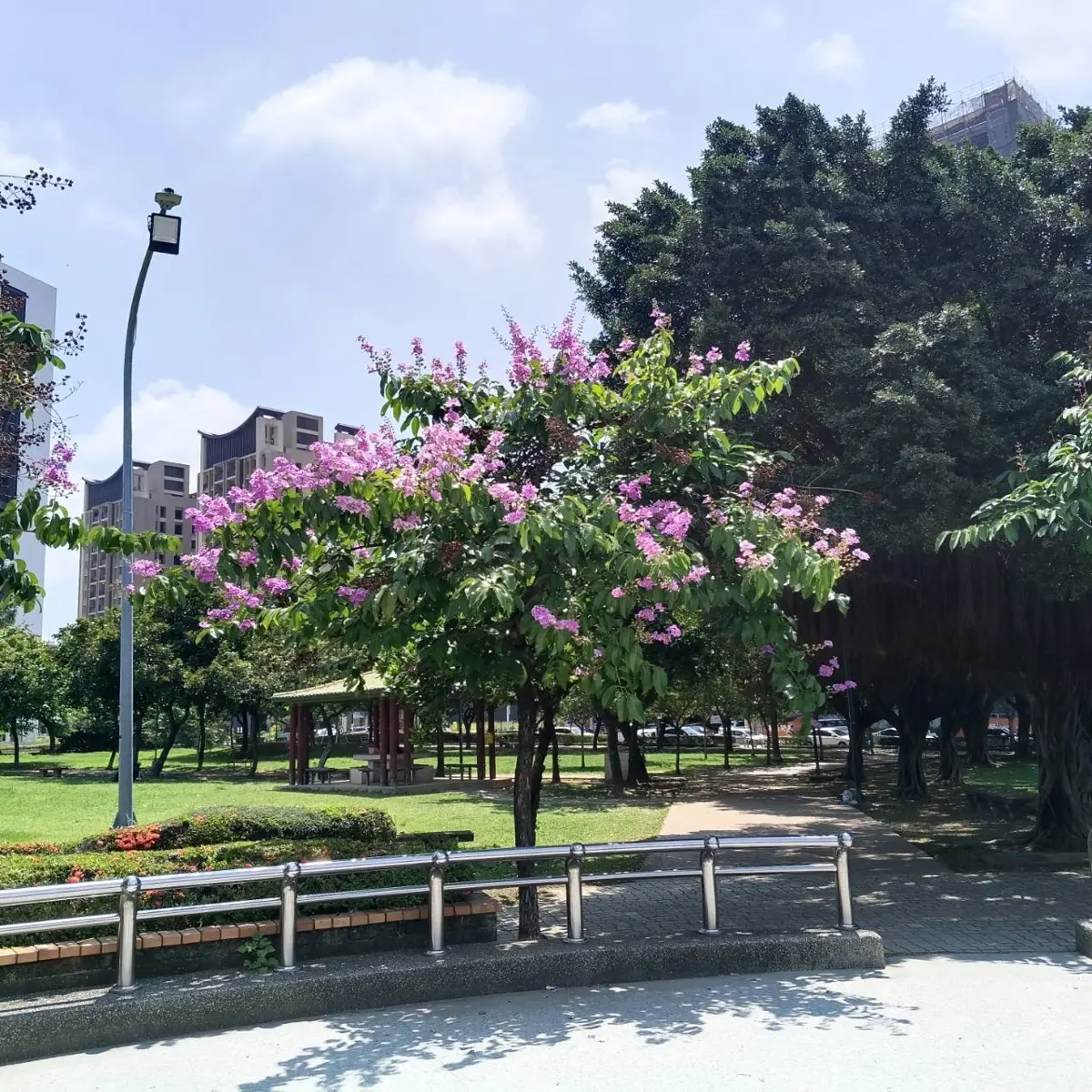 圖片來源:臺中市政府