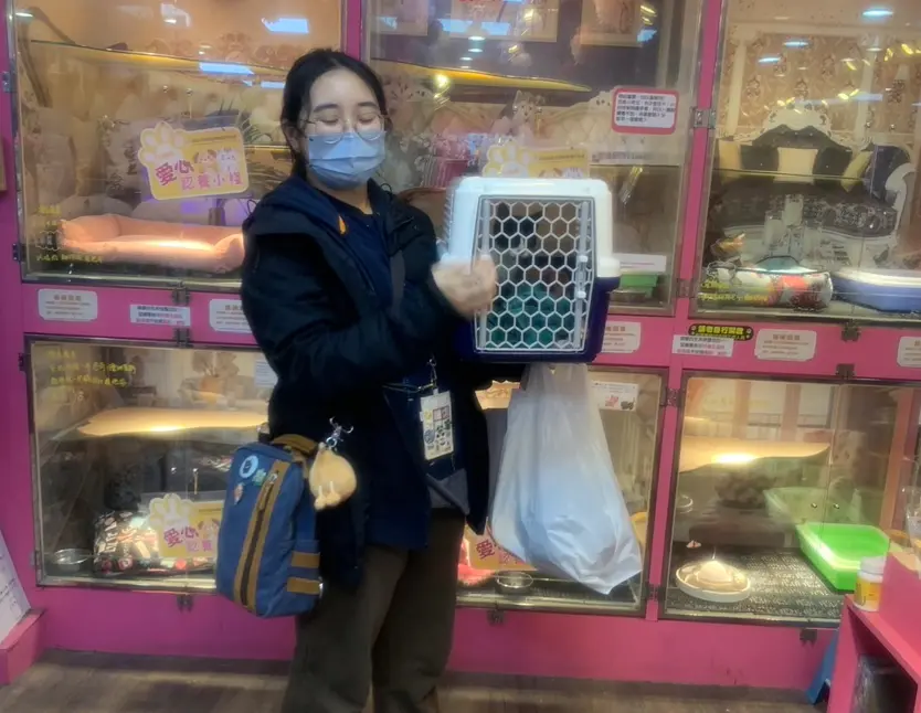 圖片來源:新北市政府