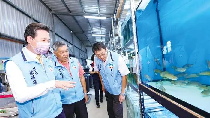 金門珍稀魚類的守護者:再生魚坊的保育奇蹟